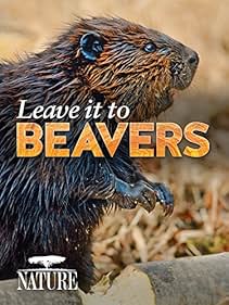 Leave It to Beavers