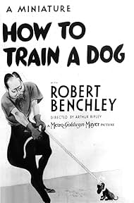 How to Train a Dog