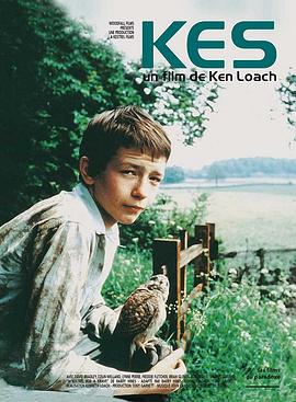 小孩与鹰 Kes