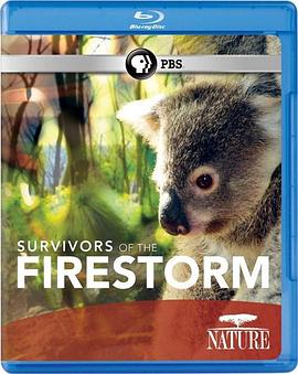 大火幸存者 Nature: Survivors of the Firestorm