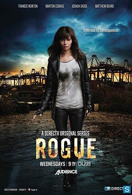卧底情劫 第一季 Rogue Season 1