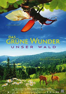 大自然之舞 Das grüne Wunder - Unser Wald