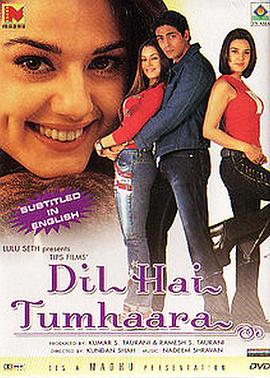 我心属于你 Dil Hai Tumhaara