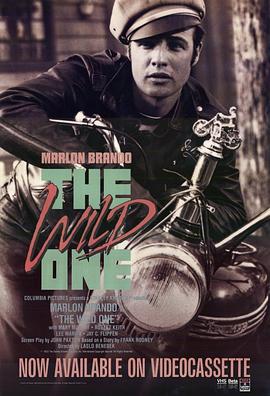 飞车党 The Wild One