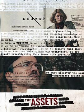 谍海浮沉 The Assets