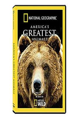 美洲伟大的动物 America's Greatest Animals