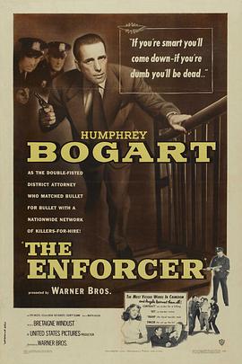 神威警探网 The Enforcer