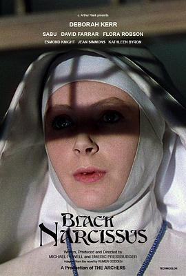 黑水仙 Black Narcissus