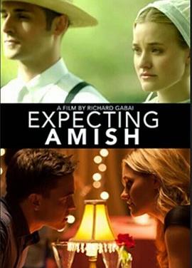阿米什的期望 Expecting Amish