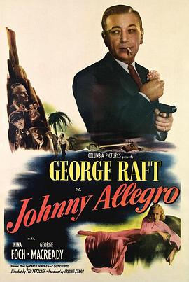 虎穴歼仇 Johnny Allegro