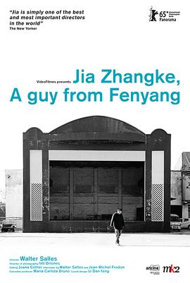 汾阳小子贾樟柯 Jia Zhangke, Um Homem de Fenyang