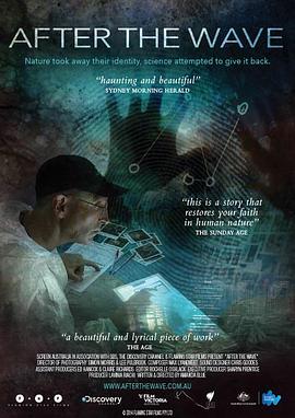 海啸之后 After the Wave