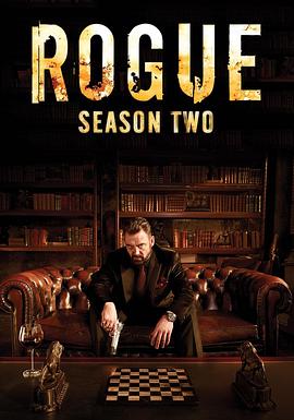 卧底情劫 第二季 Rogue Season 2