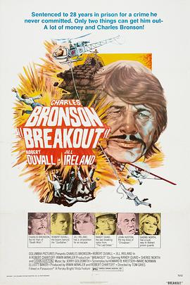 最后逃亡 Breakout