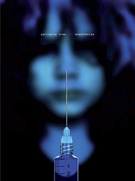 刺猬上树乐队 麻醉 荷兰蒂尔堡演唱会 Porcupine Tree: Anesthetize