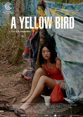 一只黄鸟 A Yellow Bird