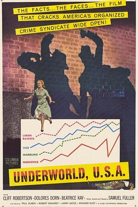 刑警大队 Underworld U.S.A.