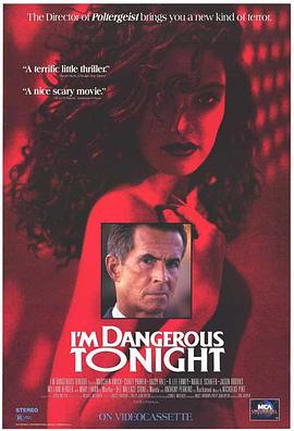 我的危险夜 I'm Dangerous Tonight