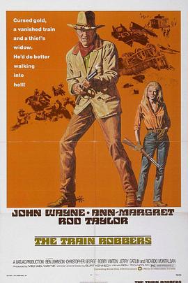 列车大盗 The Train Robbers