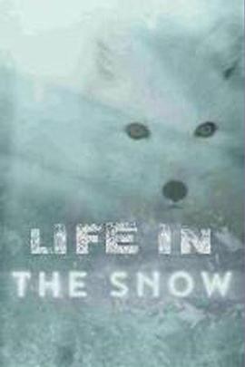 雪域中的生命 Life in the Snow