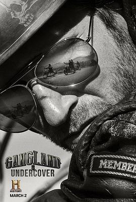 黑帮卧底 第二季 Gangland Undercover Season 2