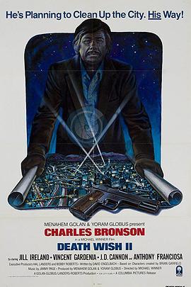 猛龙怪客2 Death Wish II