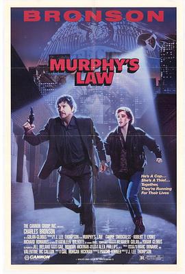暴力先锋 Murphy's Law