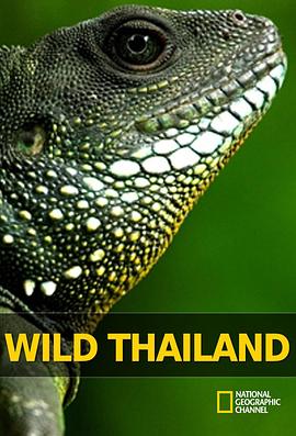 野性泰国 Wild Thailand