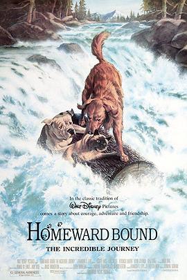 看狗在说话 Homeward Bound: The Incredible Journey