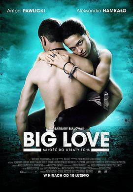 大爱 Big Love
