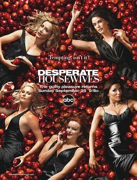 绝望主妇 第二季 Desperate Housewives Season 2