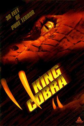 眼镜王蛇 King Cobra