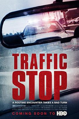 交通站 Traffic Stop
