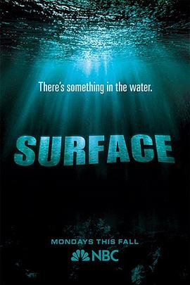 水下之秘 Surface