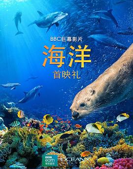 海洋