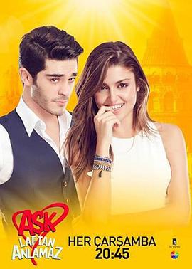爱的诠释 Aşk Laftan Anlamaz