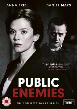 公众之敌 Public Enemies