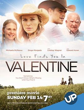 爱在瓦伦丁 Love Finds You in Valentine