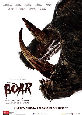 野猪 Boar