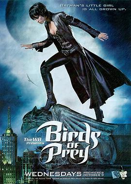 猛禽小队 Birds of Prey