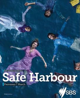 避风港 Safe Harbour