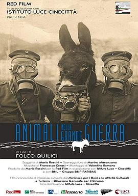 战争中的动物 Animali nella Grande Guerra