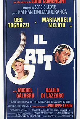 灵猫 II gatto