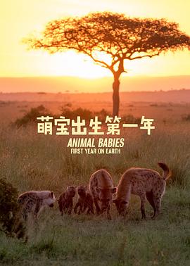 萌宝出生第一年 Animal Babies: First Year on Earth