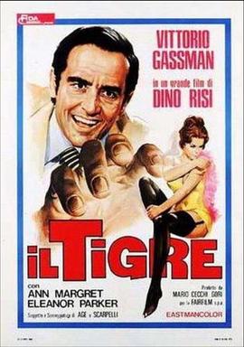 猛虎与猫咪 Il tigre