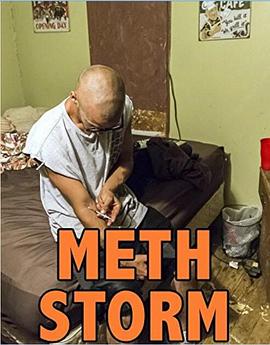 冰毒风暴 Meth Storm