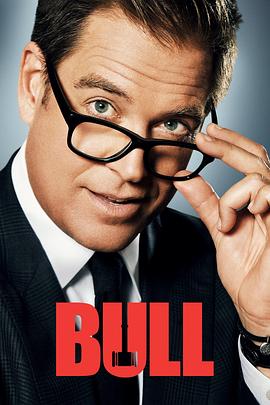 庭审专家 第四季 Bull Season 4