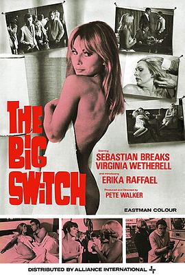 骗入传销窝点 The Big Switch (1968)
