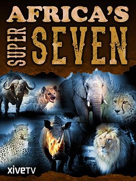 非洲七猛兽 Africa's Super Seven