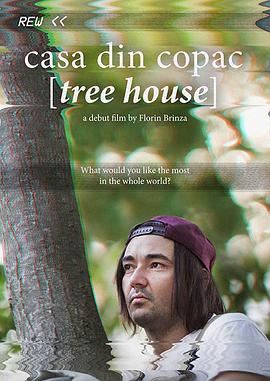 树屋 Casa din copac
